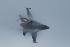 機動飛行カモメ