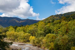 紅葉気味な山と青空