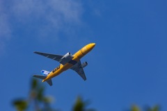 私は無事です！