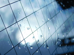 雨のしずく