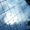 雨のしずく