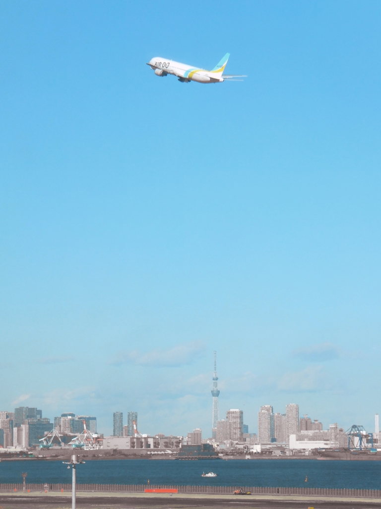 スカイツリーと飛行機