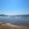 海