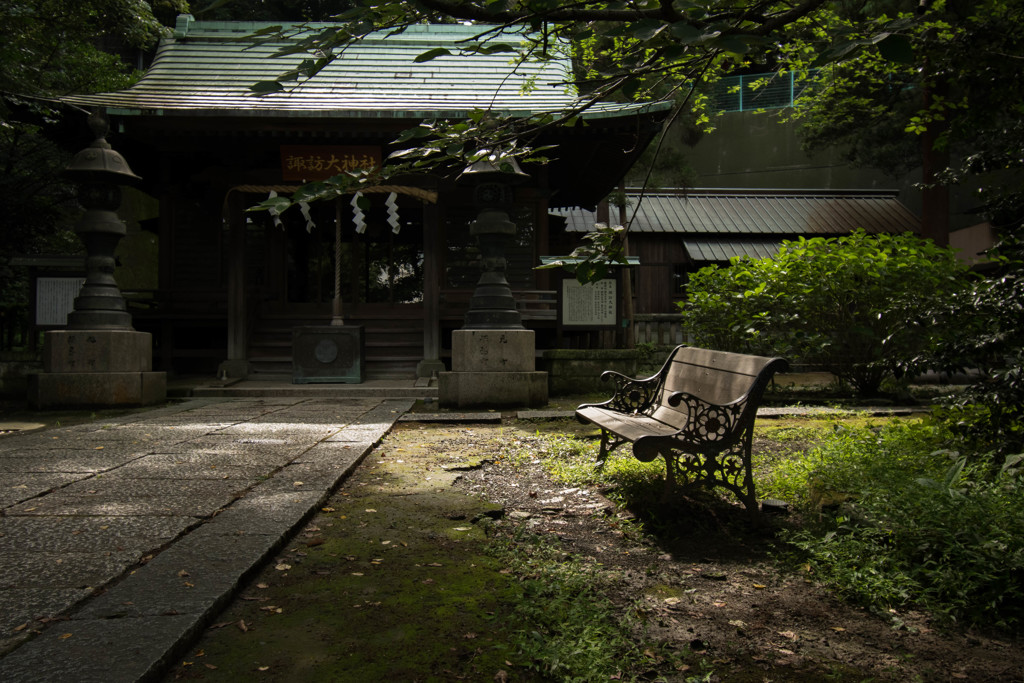 ベンチ