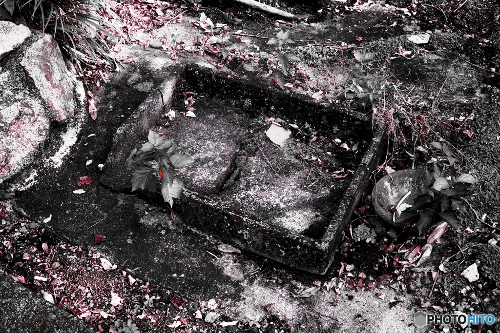 IMGP4067
