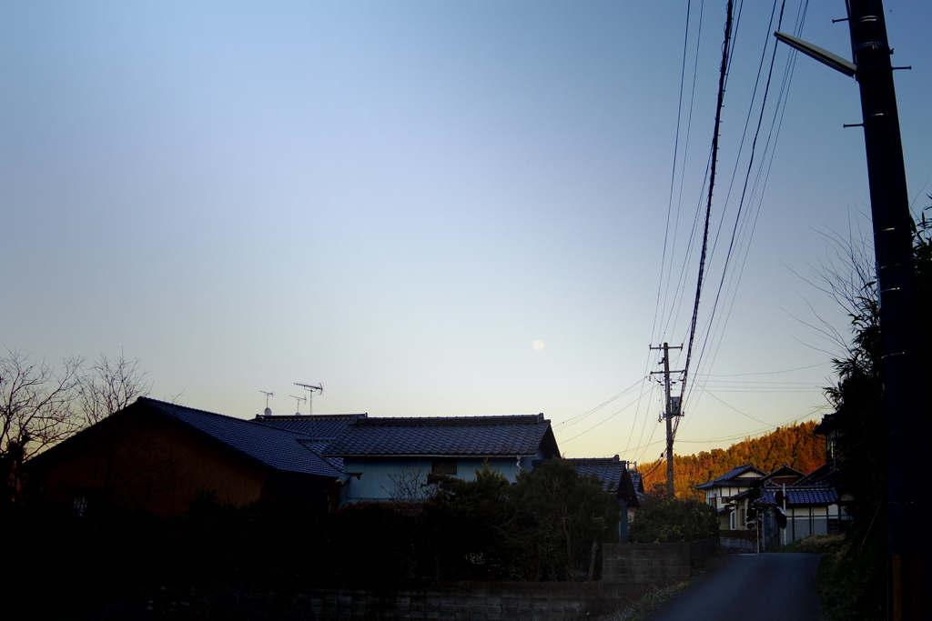 IMGP4631