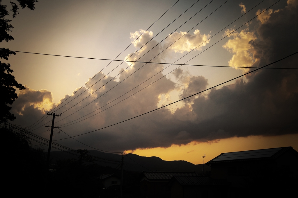 IMGP5855