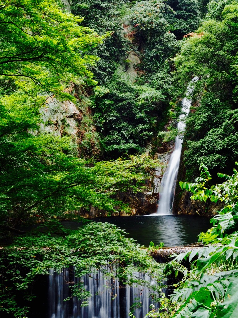 布引の滝・雌