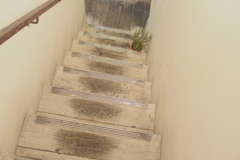 降