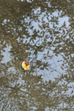 終