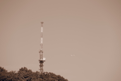 飛