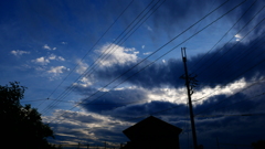 雨のあとを散歩