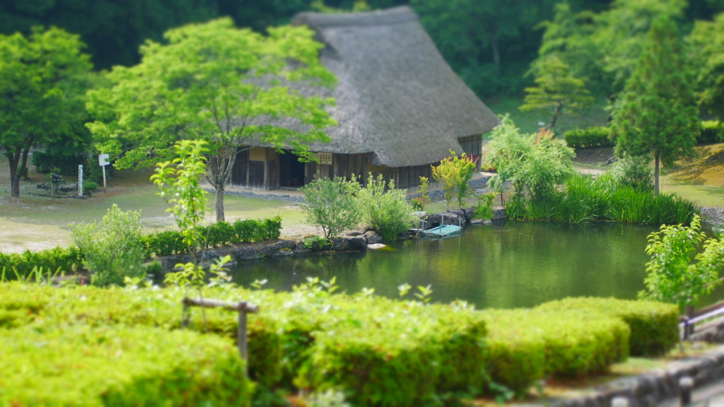藤橋城より