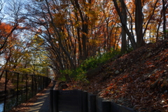 玉川上水-水喰らい土公園