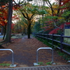 玉川上水-井の頭公園