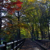 玉川上水-井の頭公園を抜けて