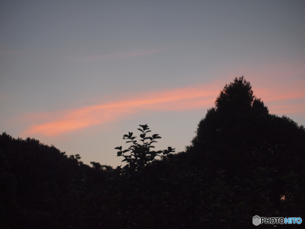 夕方