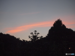 夕方