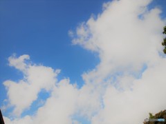 青い空