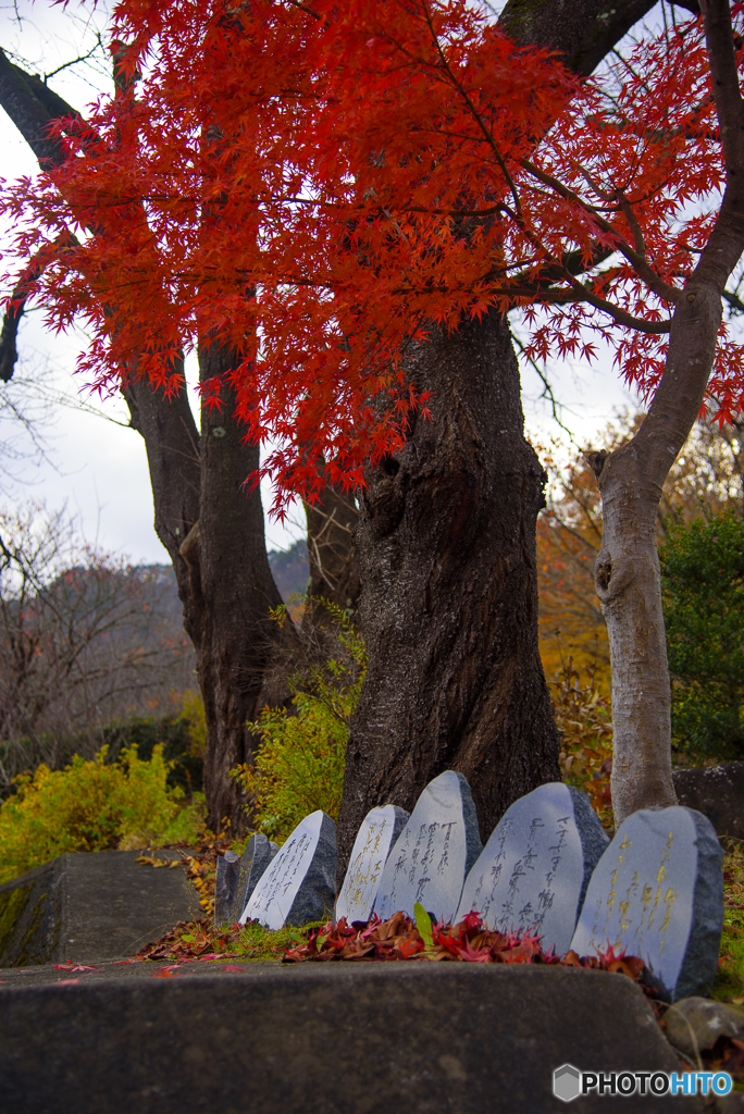 山寺 碑