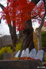 山寺 碑