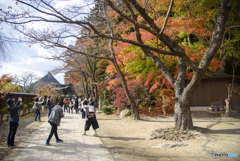 宝珠山 立石寺4