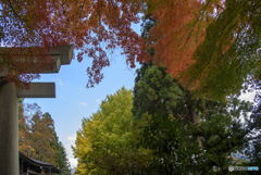 宝珠山 立石寺2