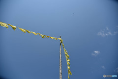 幸せの黄色と大空