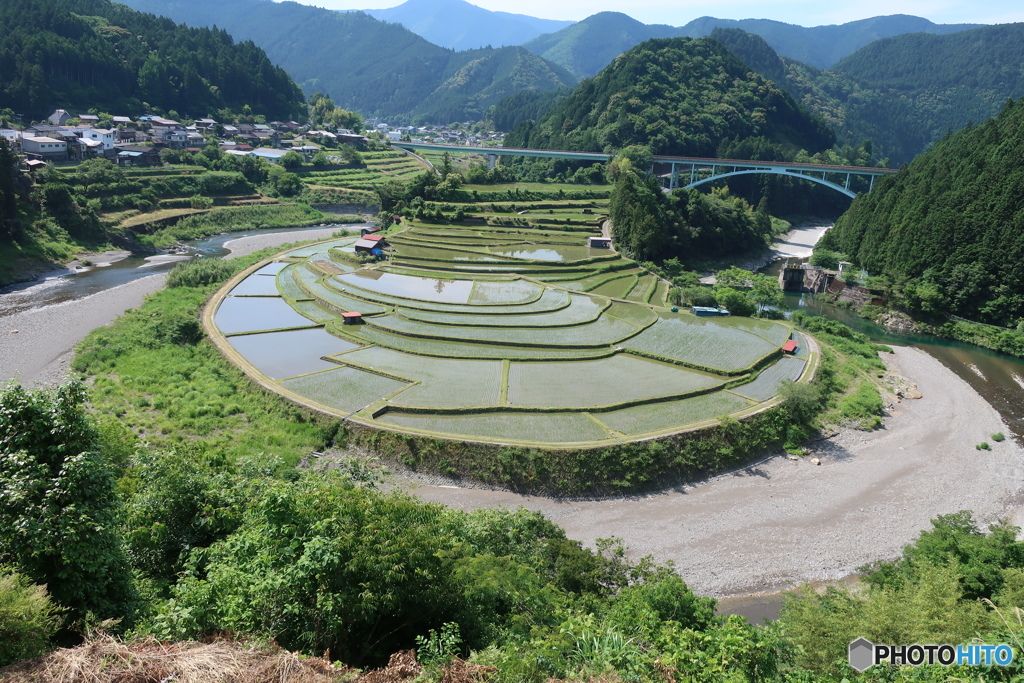 あらぎ島