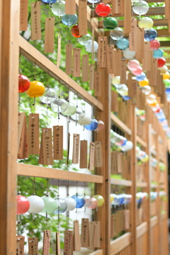 氷川神社風鈴祭り