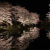 夜櫻