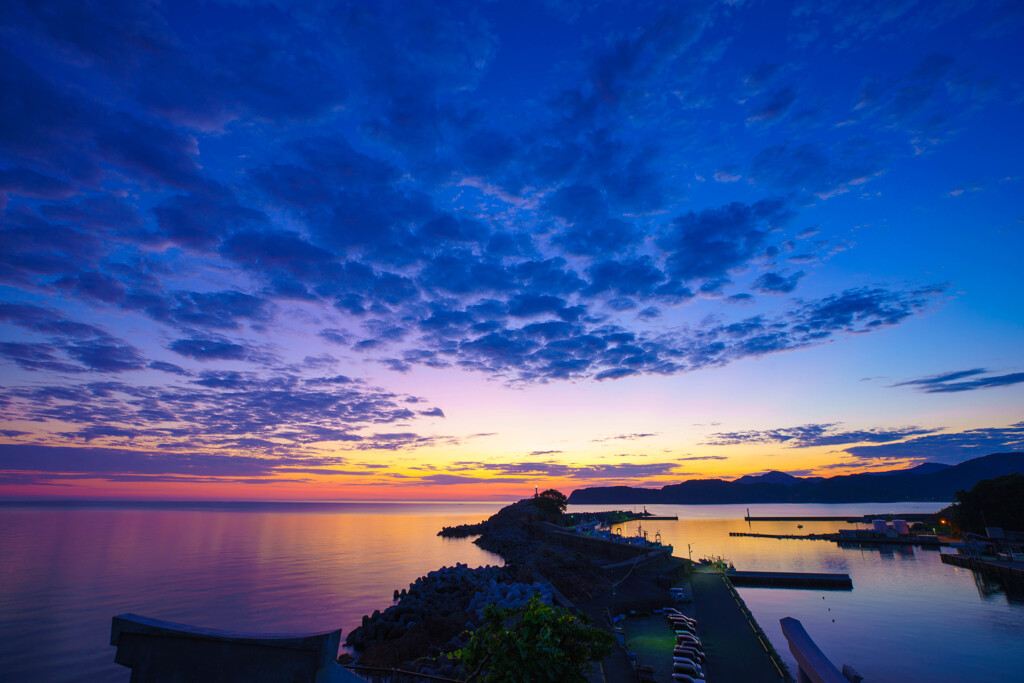 夏の朝