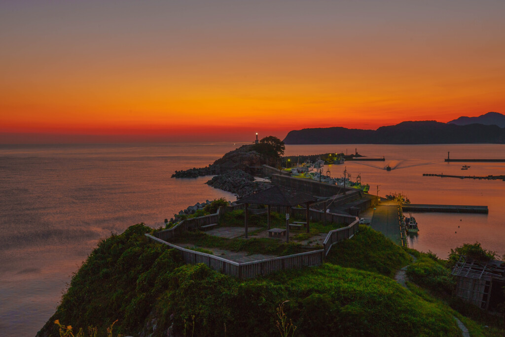 夏の朝