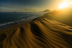 春の朝 －砂丘－
