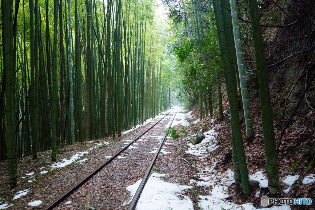 廃線の冬