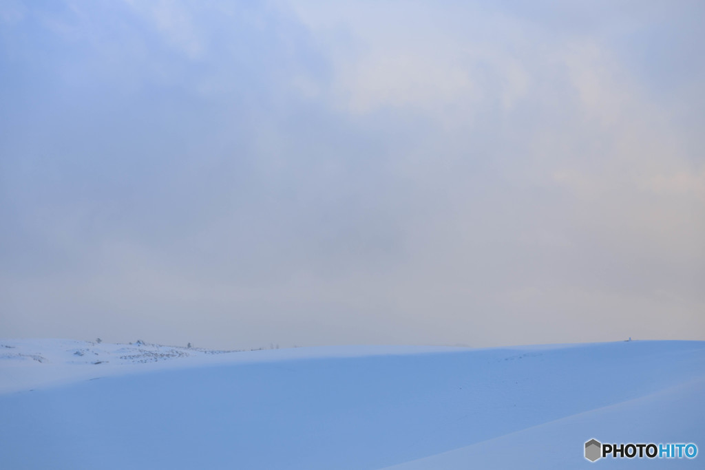 雪原