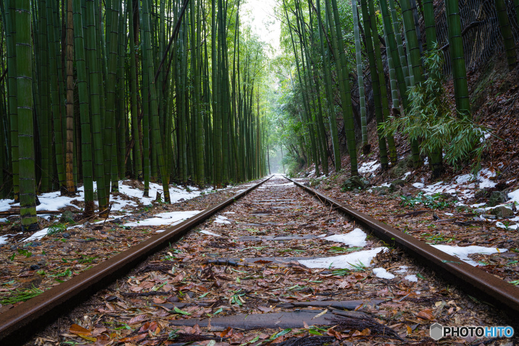 廃線の冬