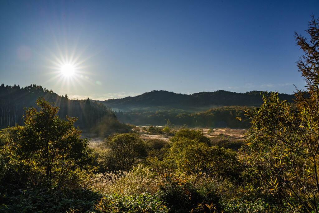 ススキのある風景