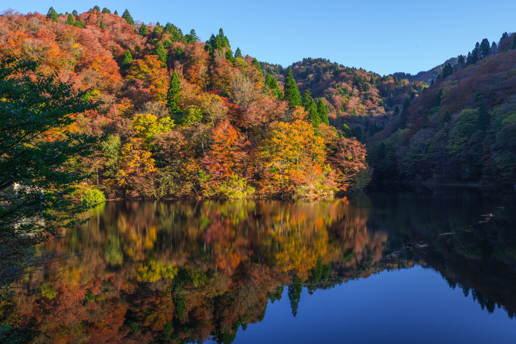 紅葉