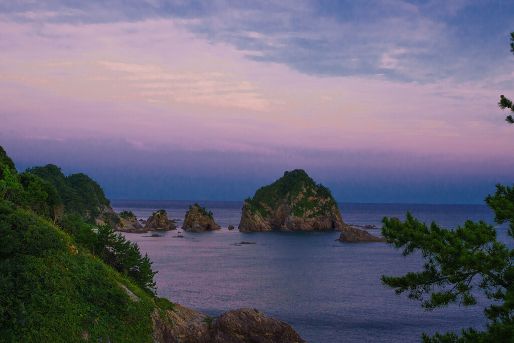 夏の朝
