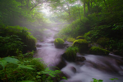 木谷沢渓流 -夏-