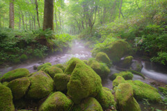 木谷沢渓流 -夏-