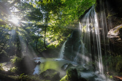 猿壺の滝 -夏-