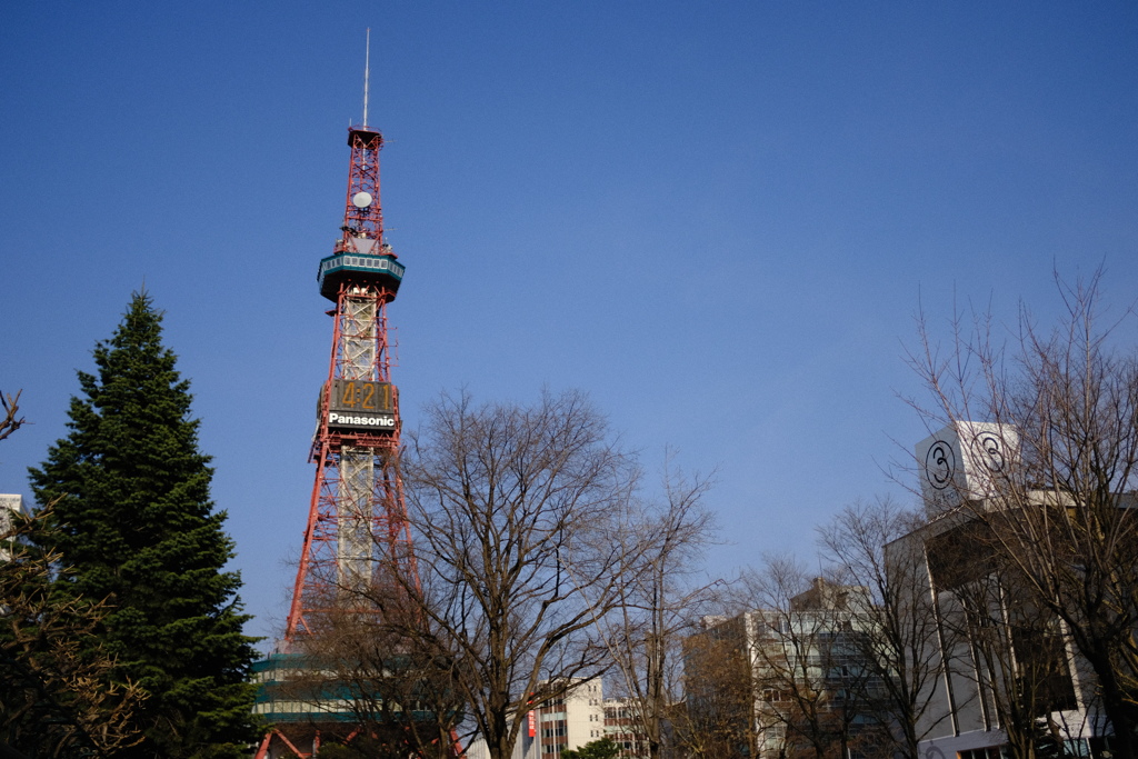 青空にテレビ塔が映え