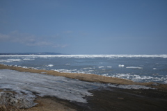 流氷はまだいます