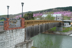 芝桜へ渡る橋