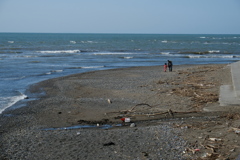 孫