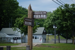 哀川翔兄貴もよくきます