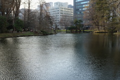池に映った都会が風で歪む