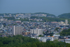 初めて見る景色